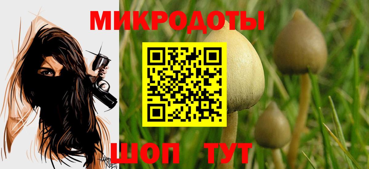 Старая Купавна  Псилоцибиновые грибы ЛСД  Вход с VPN 