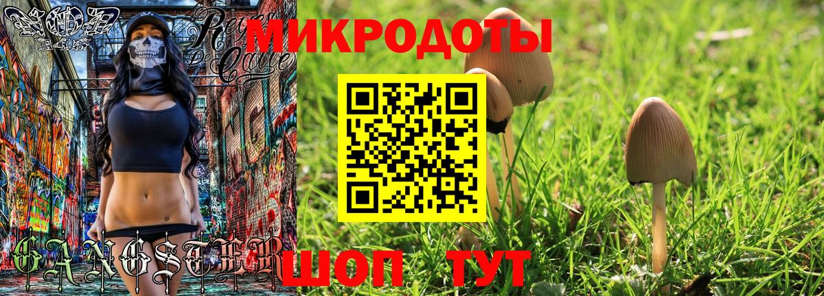 Галлюциногенные грибы мухоморы Старая Купавна